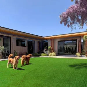 DIY 65x3ft Artificial Lawn Grass Turf Outdoor Dogs, 3/8" Thick